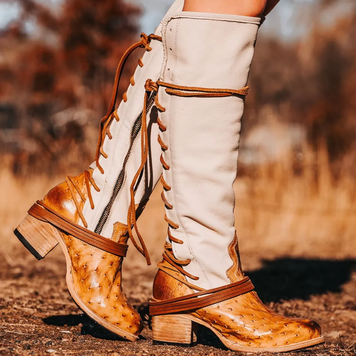 Women Freebird Store Coal