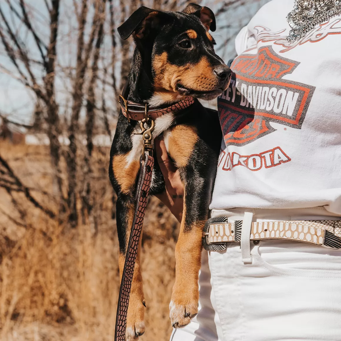 Women Freebird Store Dog Collar