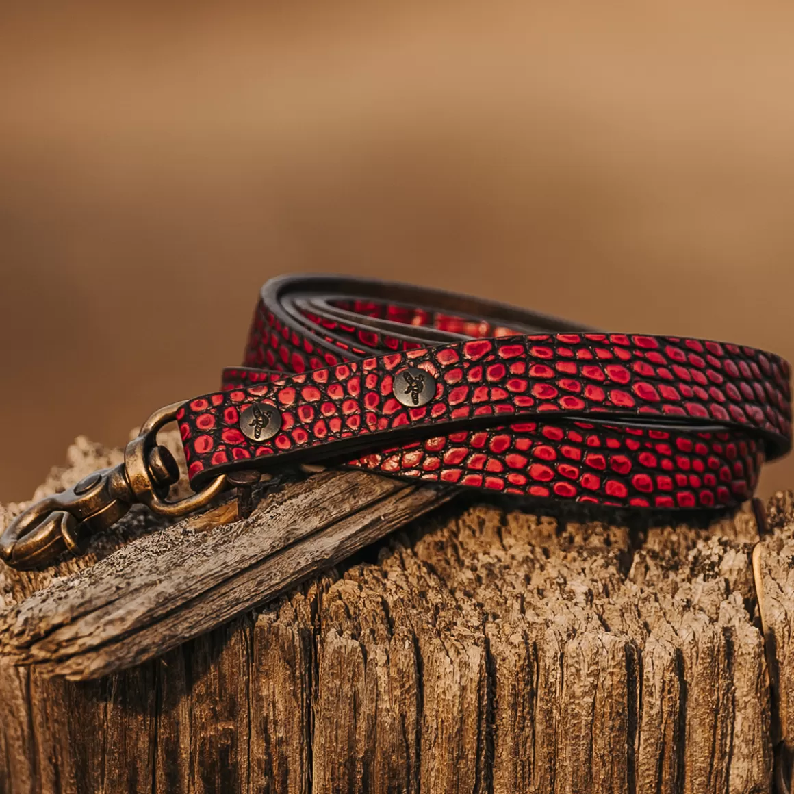 Women Freebird Store Dog Leash