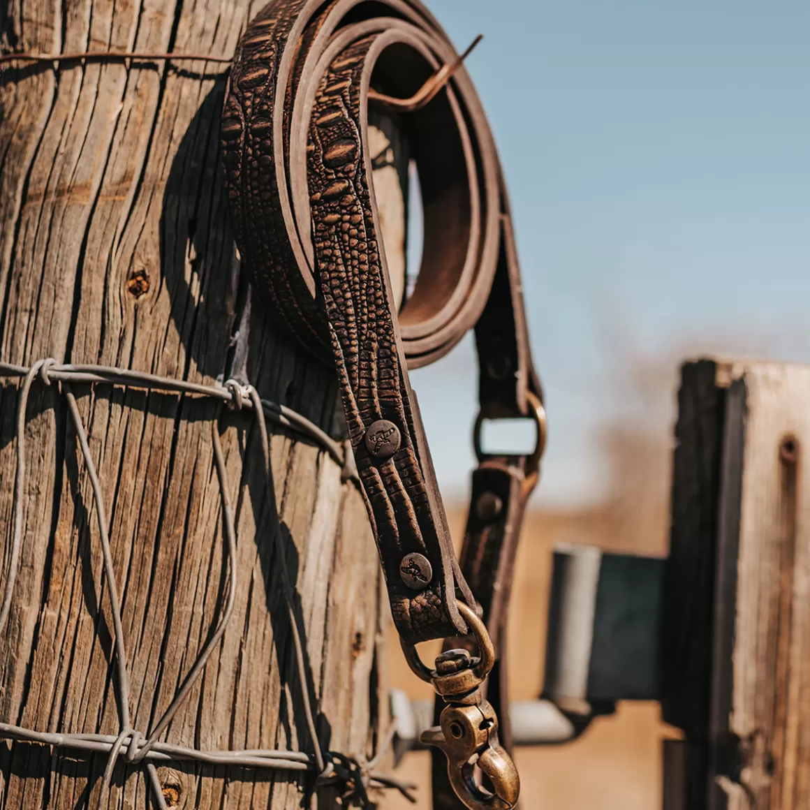 Women Freebird Store Dog Leash