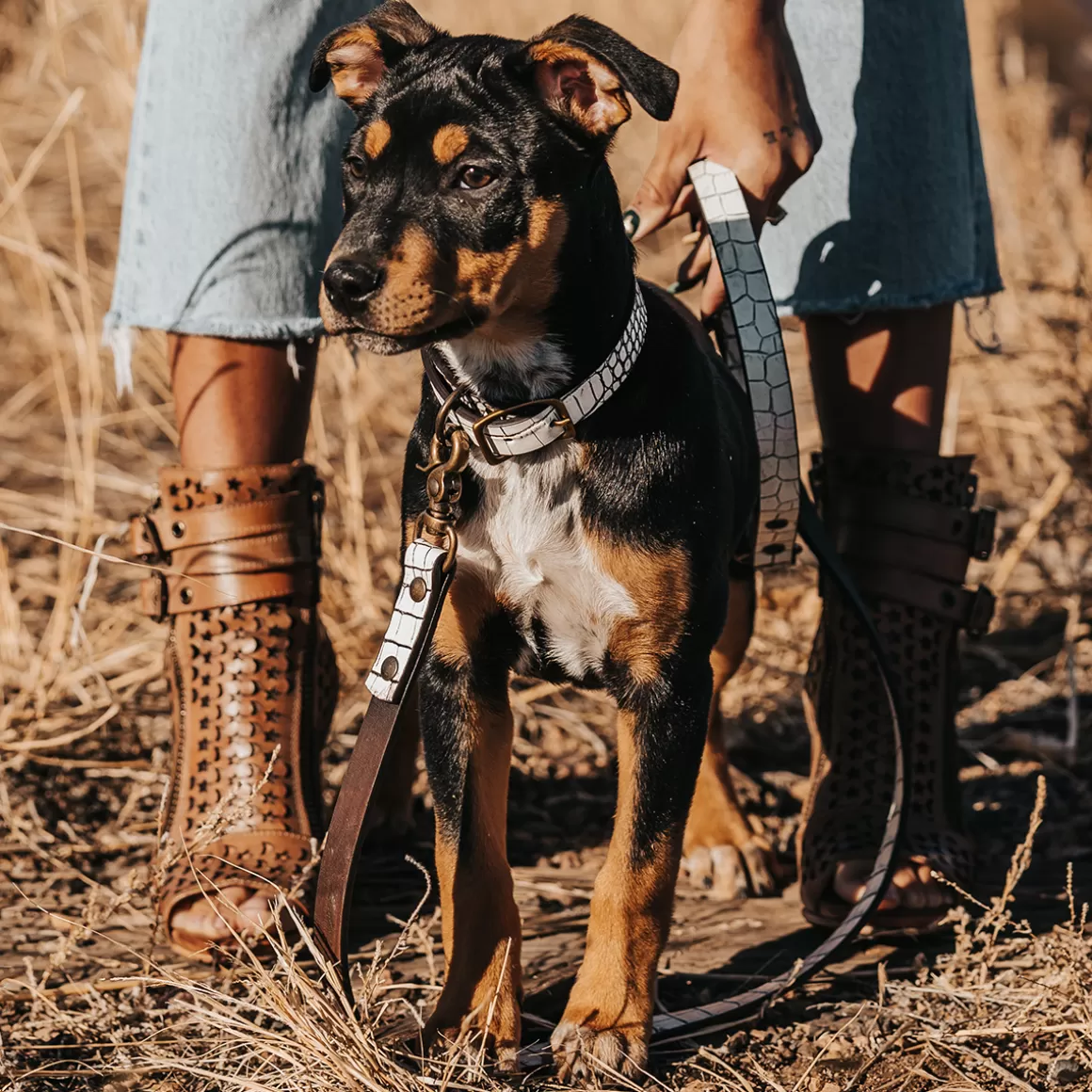 Women Freebird Store Dog Leash