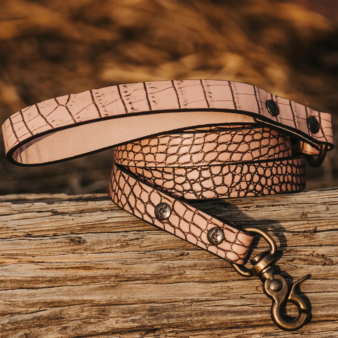 Women Freebird Store Dog Leash
