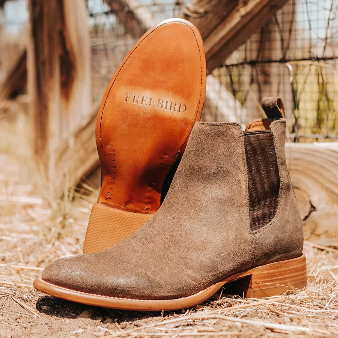 Freebird Store Palmer