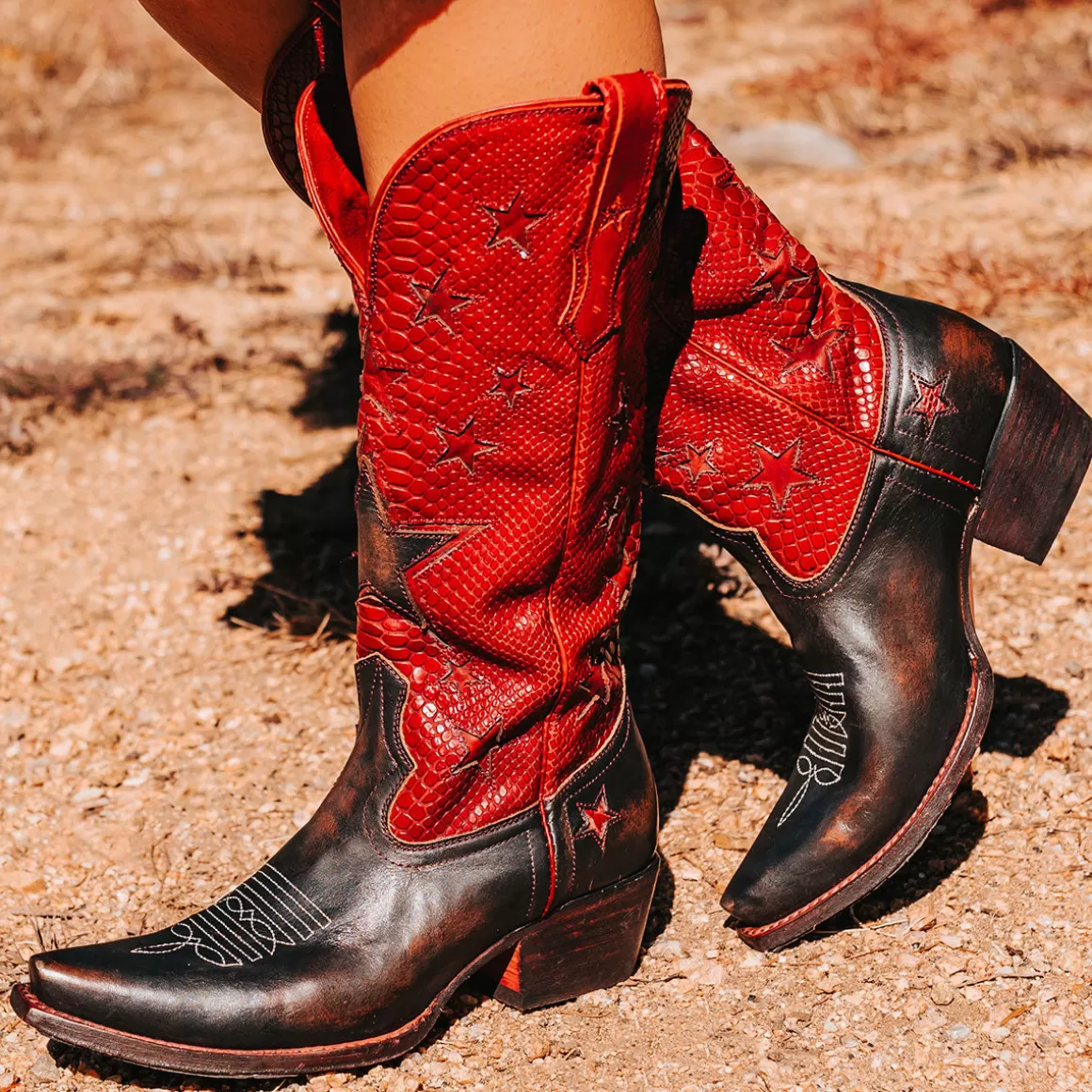 Women Freebird Store Starzz