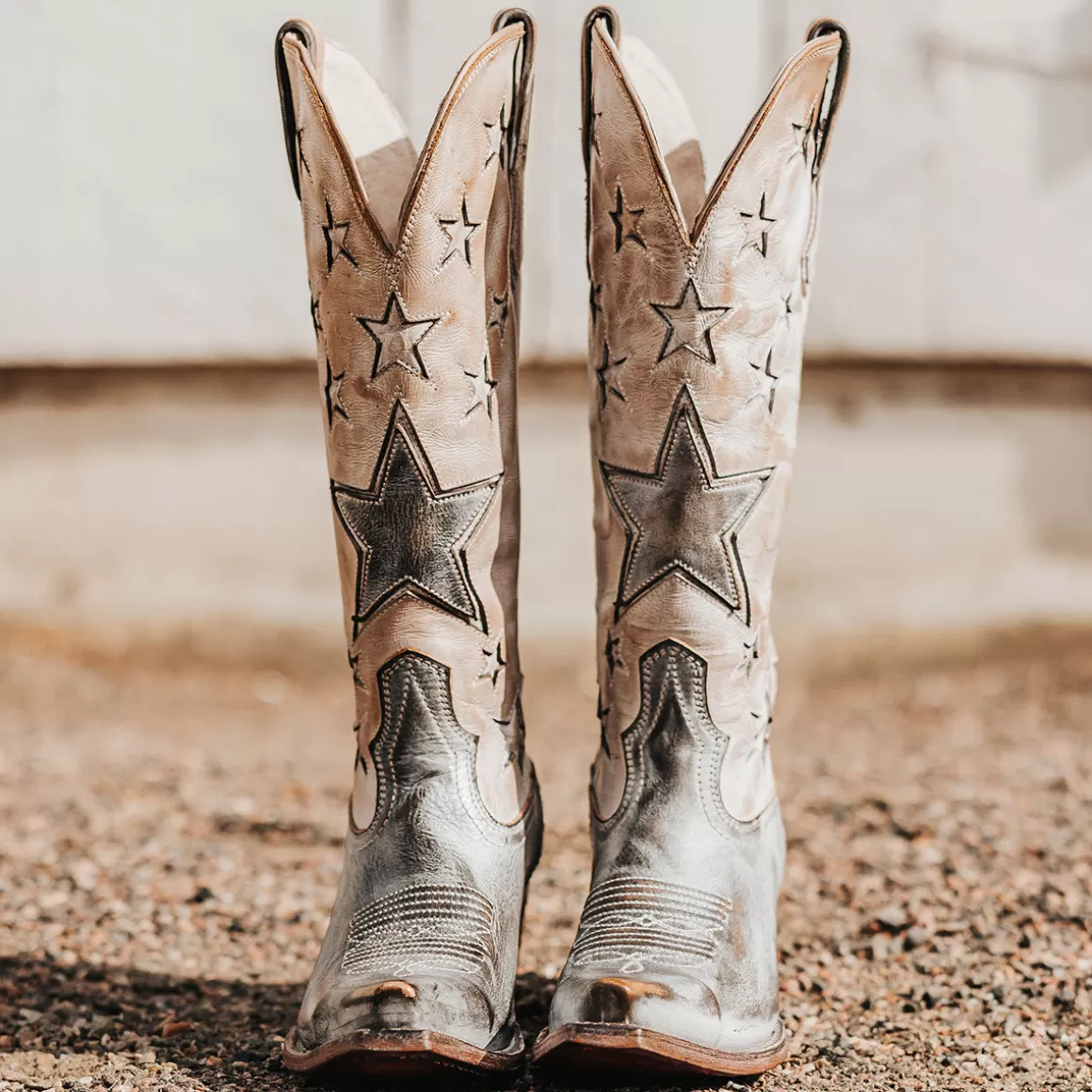 Women Freebird Store Starzz