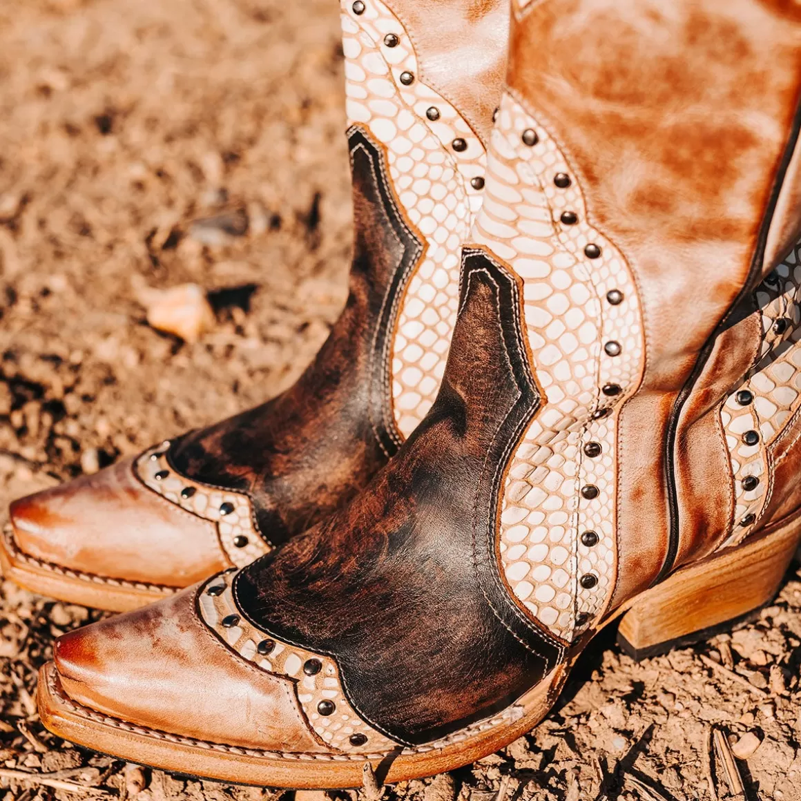 Women Freebird Store Warner
